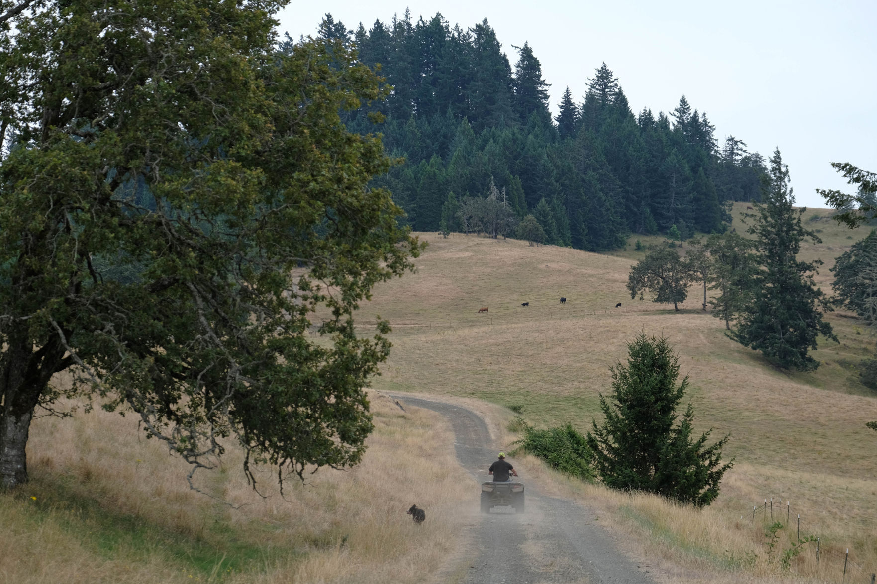 Bill Gow farm (Not HAN photo)